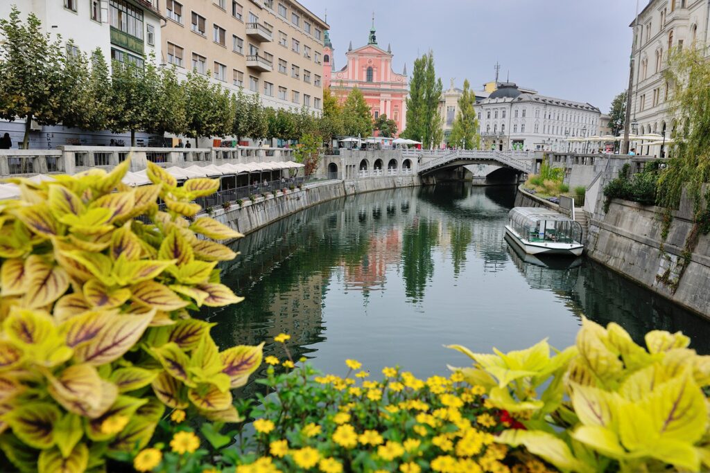 Slovenia's draft proposal to enforce e-invoicing from June 2026 cover